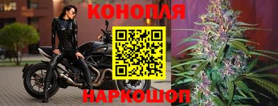 сатива Бузулук