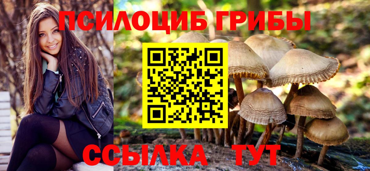 Псилоцибиновые грибы GOLDEN TEACHER Кондопога