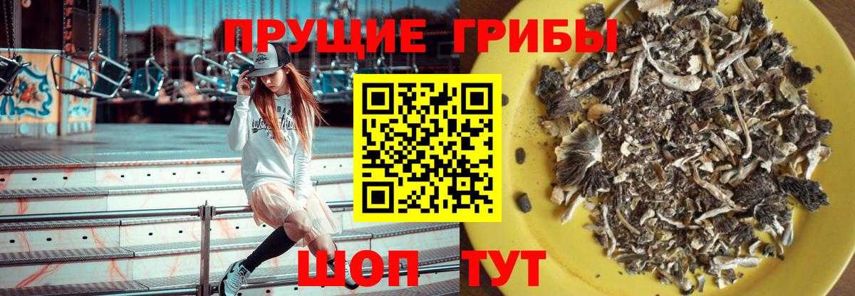 Кондопога  Псилоцибиновые грибы мухоморы  Вход с VPN 